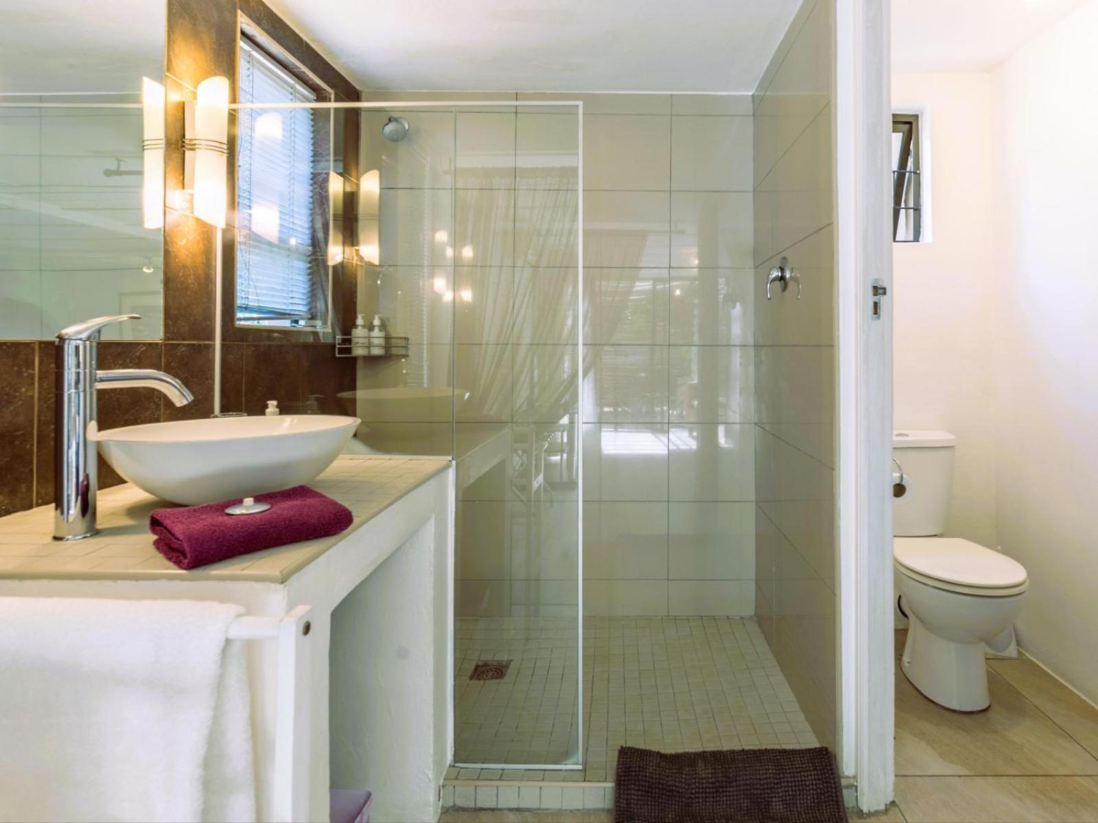 Absolute Bosch Guest House 斯泰伦博斯 客房 照片